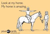 Your Ecards / Someecards.com