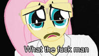 Pony Reactions