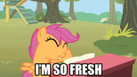 Pony Reactions