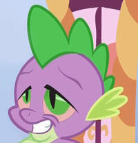 Pony Reactions