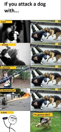 Dogs