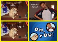 Oh, You