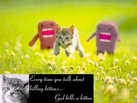 Every time you masturbate, God kills a kitten