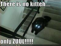 There is No Dana, Only Zuul