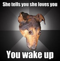 Depression Dog