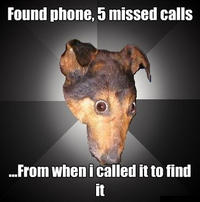 Depression Dog