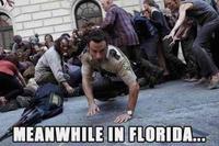 Miami Zombie