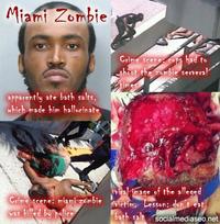 Miami Zombie