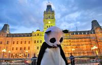 2012 Quebec Student Protests