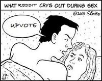 What 4chan Cries Out During Sex