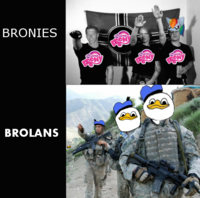 Dolan