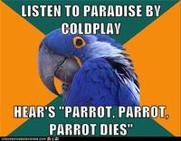 Paranoid Parrot