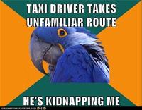 Paranoid Parrot