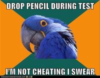 Paranoid Parrot