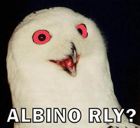 O RLY?