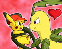 Ashachu