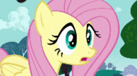Pony Reactions
