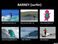 What People Think I Do / What I Really Do