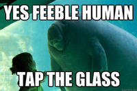 Overlord Manatee