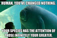 Overlord Manatee