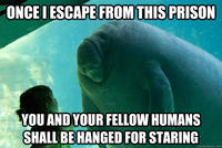 Overlord Manatee