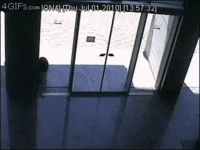 FAIL