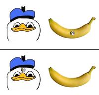 Dolan