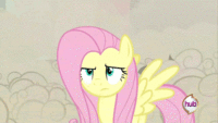 Pony Reactions