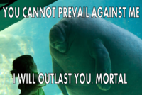 Overlord Manatee