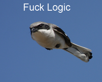 Fuck Logic