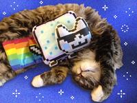 Nyan Cat / Pop Tart Cat