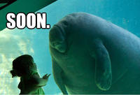 Overlord Manatee