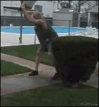 GIF