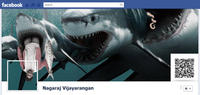 Facebook Timeline Covers