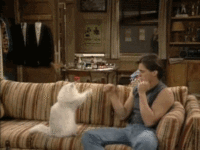GIF