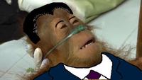 Dying Orangutan
