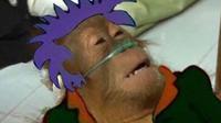 Dying Orangutan