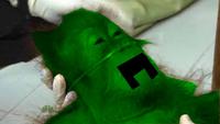 Dying Orangutan