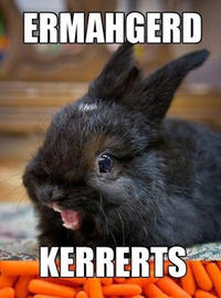 Ermahgerd