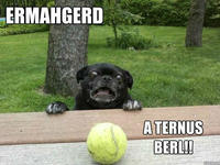 Ermahgerd