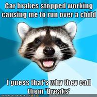 Lame Pun Coon