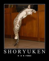 Shoryuken / Hadouken