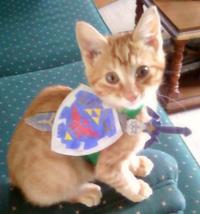 Cosplay