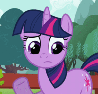 Pony Reactions