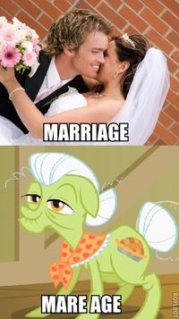 Name Puns