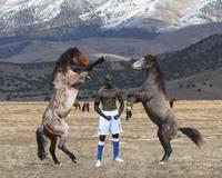 Mario Balotelli's Goal Celebration