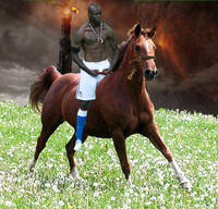 Mario Balotelli's Goal Celebration