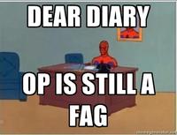 OP is a Faggot