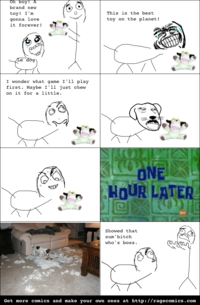 Women Logic