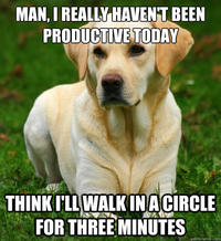 Women Logic